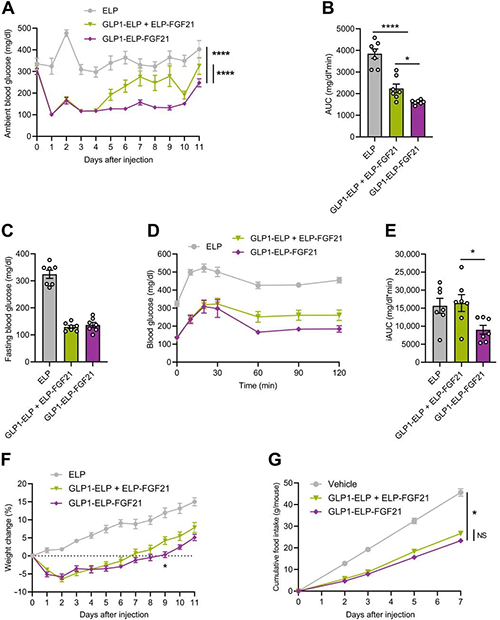 8188www威尼斯 GLP1-ELP-FGF21双激动剂形式在治疗上优于GLP-1 / FGF21单激动剂混合物 美迪西